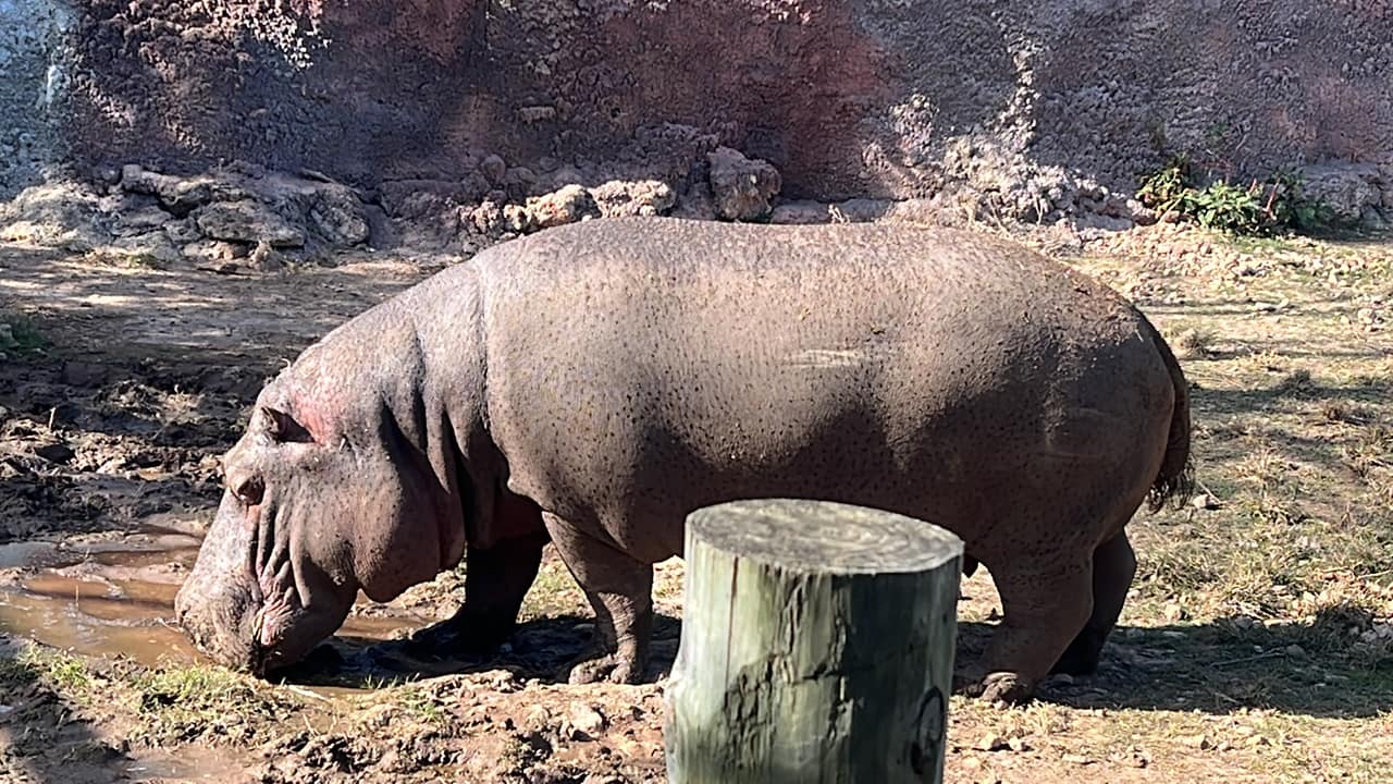 482227795_653458350414632_3765760203352121431_n