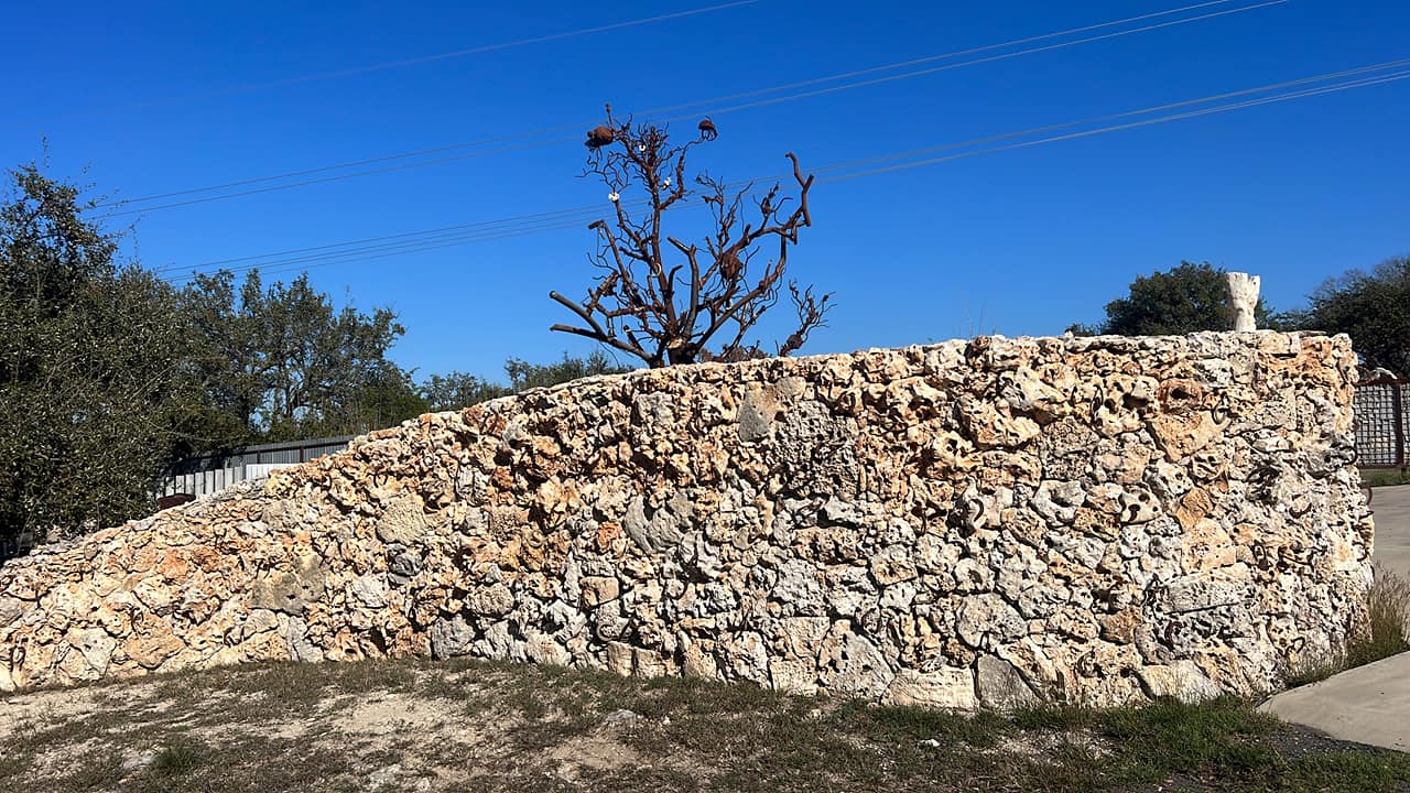 482247336_653464110414056_4027525792006876572_n